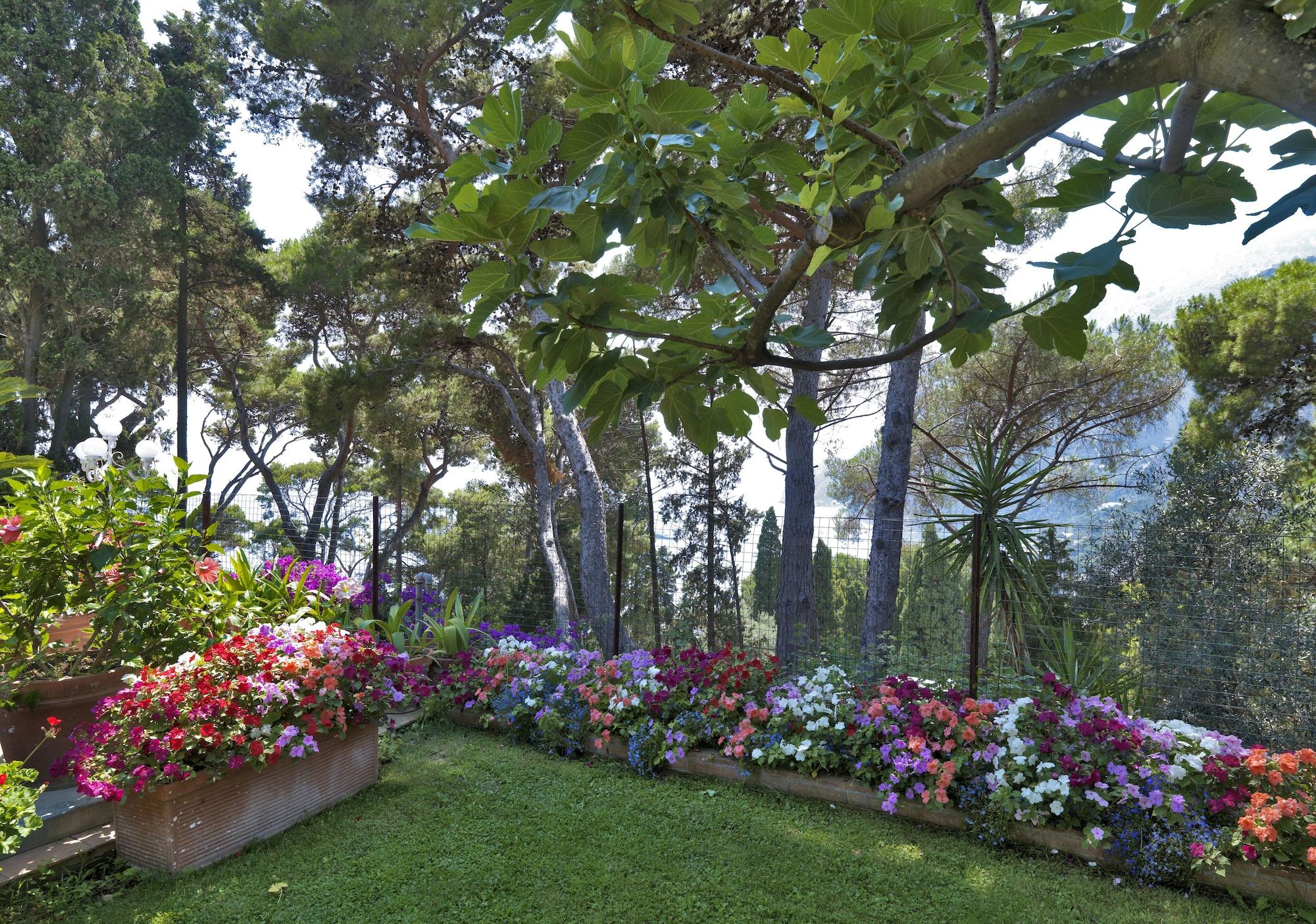 Hotel Villa Brunella Capri Exterior photo